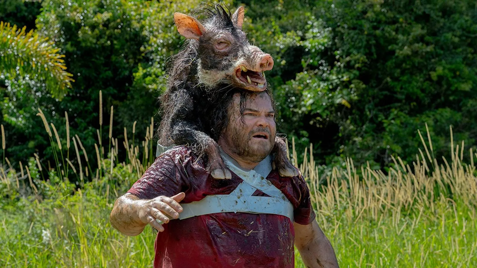 The Studio's Giant Snake Movie Reboot Is a Brilliantly Simple Concept