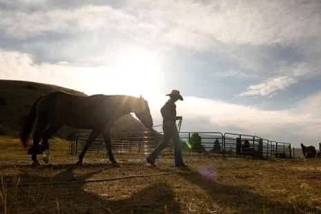 Meet the US Cowgirls Transforming Modern Farm Life